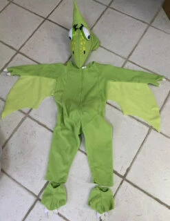Kids Pterosaur Costume Dinosaur Jumpsuit Helmet 2Pcs Suit For Halloween Carnival (3-10 Years) 13 Kids Pterosaur Costume Dinosaur Jumpsuit Helmet 2Pcs Suit For Halloween Carnival (3-10 Years) -Children Toys Sale Pterosaur Dinosaur Costume Kids 1