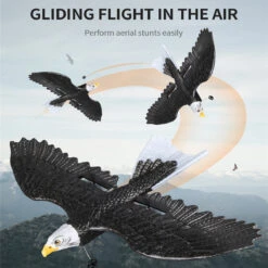2.4Ghz RC Airplane Remote Control Eagle Wingspan Eagle Bionic Aircraft RC Glider -Children Toys Sale RC Airplane with Eagle Style 10
