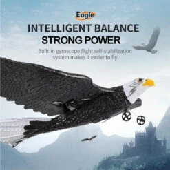 2.4Ghz RC Airplane Remote Control Eagle Wingspan Eagle Bionic Aircraft RC Glider -Children Toys Sale RC Airplane with Eagle Style 4