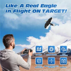 2.4Ghz RC Airplane Remote Control Eagle Wingspan Eagle Bionic Aircraft RC Glider -Children Toys Sale RC Airplane with Eagle Style 8