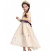 Kids Princess Aanna Dress Halloween Costume Girls Cosplay Party Dress With Accessories