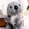 Cute Small Koala Bear Plush Toys Adventure Koala Doll Gift