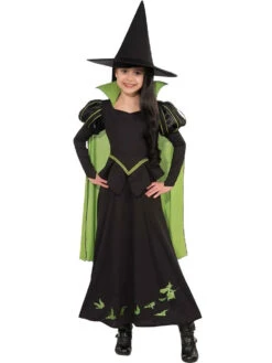 Wizard OZ Witch Costume Kids Adults Witch Dress Hat And Cape Suit For Halloween -Children Toys Sale wicked witch costume dc5d9668 c929 43b5 b616 1686fd918930